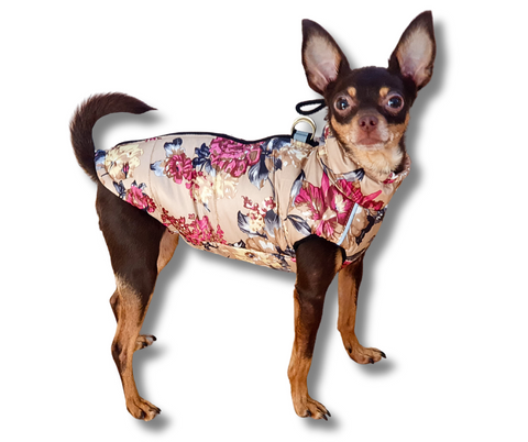 Winter vests for females "Alexa", rings for leash