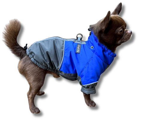 Dog jackets with light lining for male dogs 