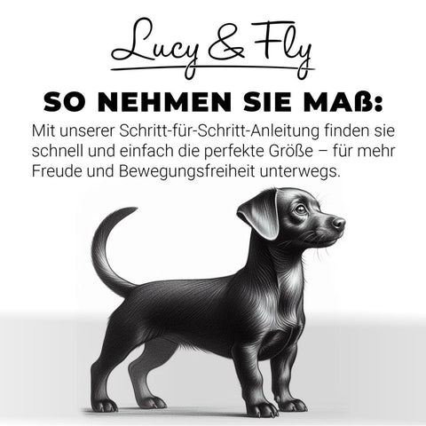 Hundewesten mit leichter Fütterung, UNISEX Gr. 27