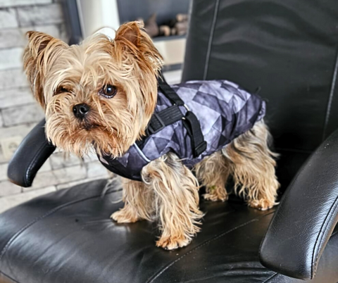 Waterproof softshell winter vests with harness "Geometry" for male dogs 