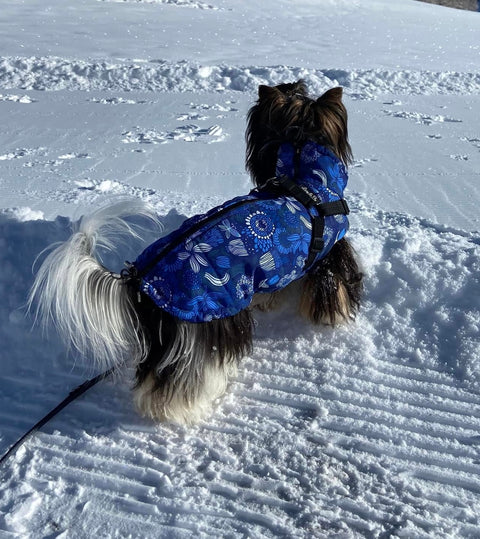 Waterproof winter vests with harness for male dogs 