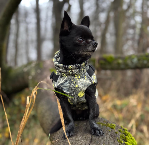 Waterproof winter vests "Flowers in the forest" for females with harness