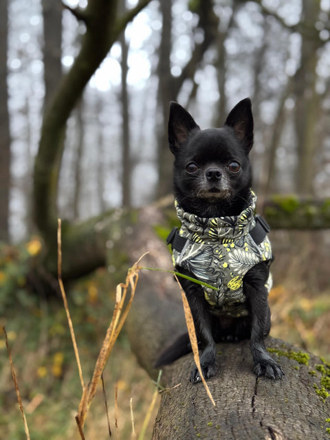 Waterproof winter vests "Flowers in the forest" for females with harness