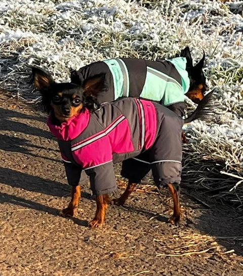 Petra - Waterproof winter coats for females with belly protection